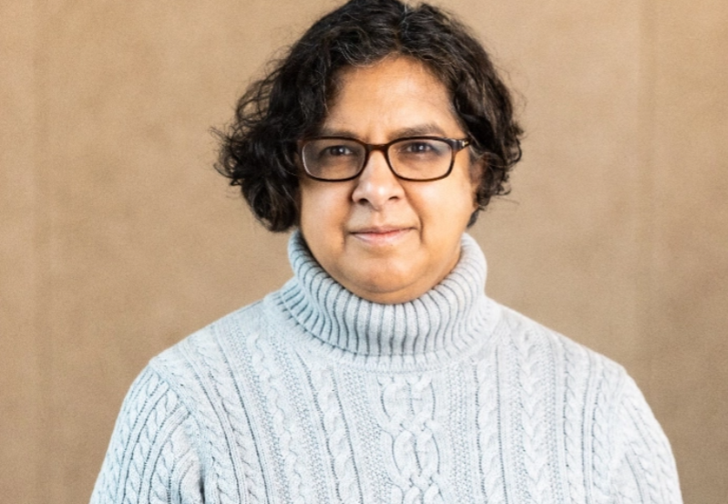 Professor Anita Ramasastry